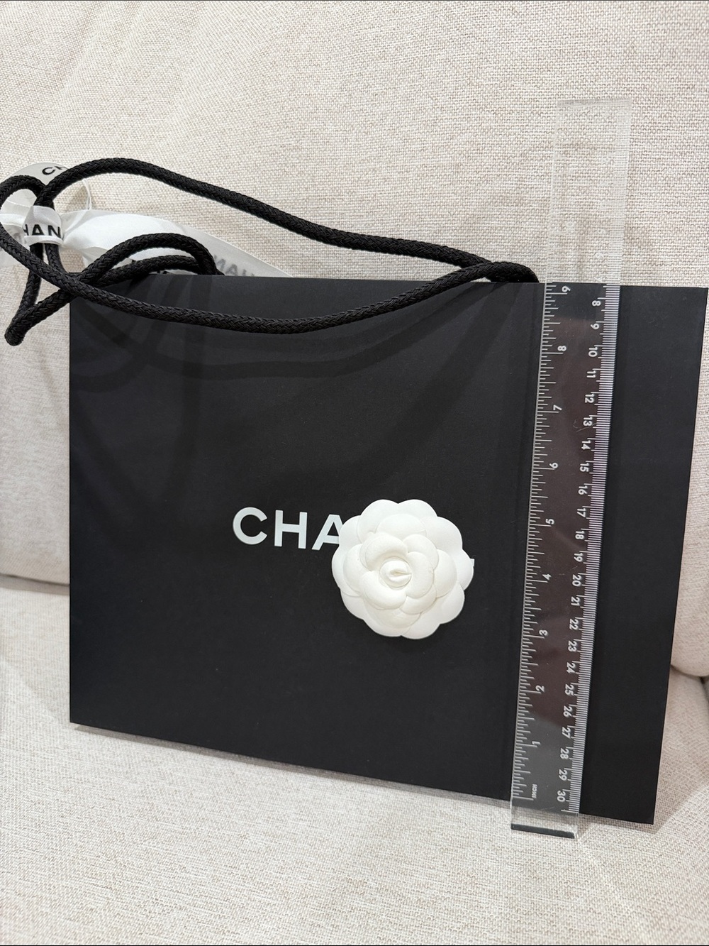 CHANEL Gift Bag with Box Set - Picture 4 of 7